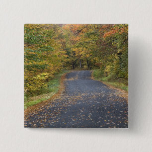 Straßenrand Herbstlaub, Süd-Vermont, USA Button