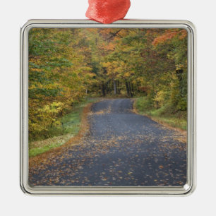 Straßenrand Herbstlaub, Süd-Vermont, USA Silbernes Ornament