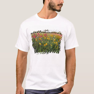 Straßenrand-Wildblumen in Texas, Frühling T-Shirt