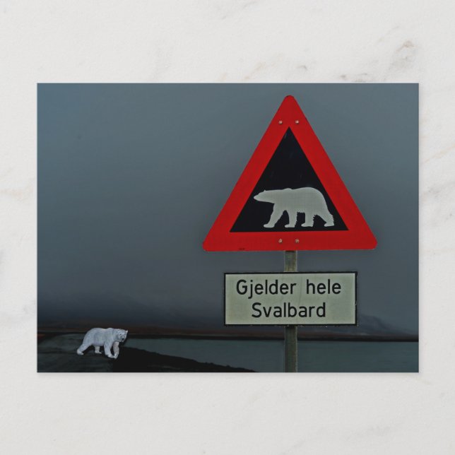 Straßenschild des Eisbären und Eisbär. Postkarte (Vorderseite)