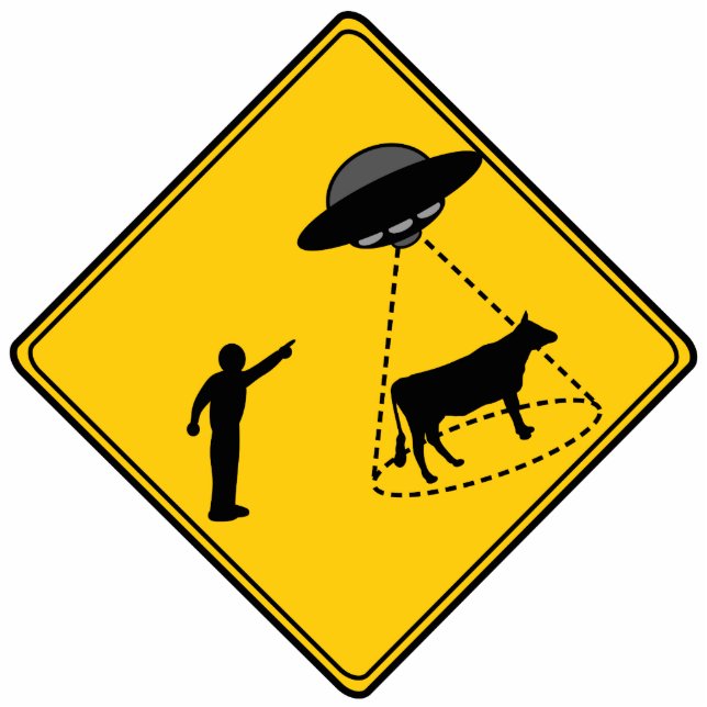 Straßenschild- Kuh und UFO Fotoskulptur Magnet (Vorne)