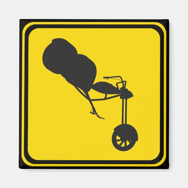 Straßenschildkröten überqueren magnet (Vorne)