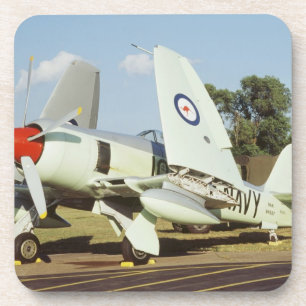 Straßenverkäufer-Seewut bei CAF, Minnesota-Flüg Getränkeuntersetzer