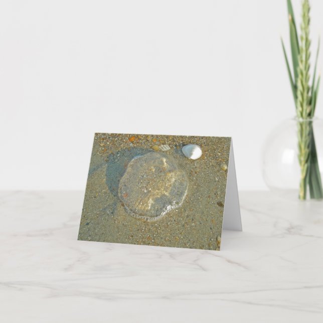 Strated Jellyfish Note Card Karte (Vorderseite)