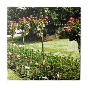 Stratford-nach-Avon Garten-Rose snap-29602 jGibney Fliese