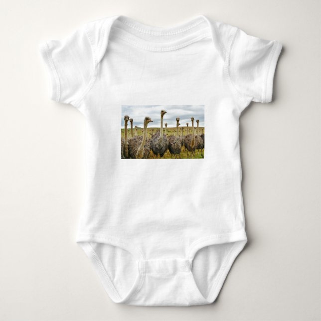 Strauß Baby Strampler (Vorderseite)