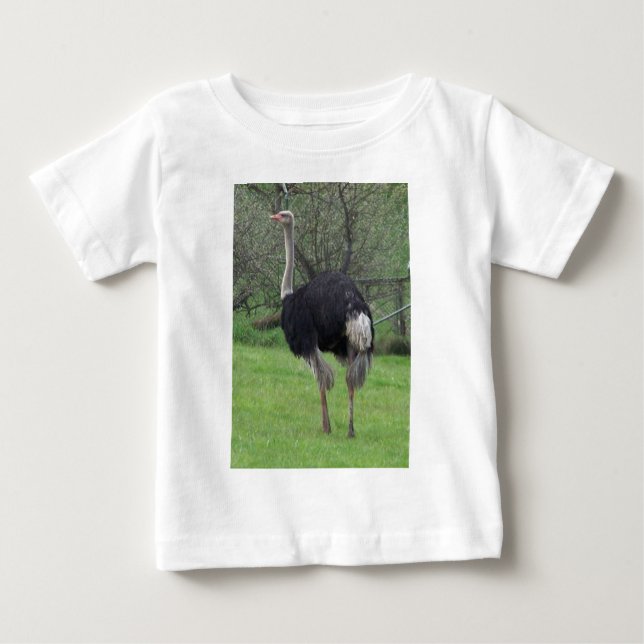 Strauß Baby T-shirt (Vorderseite)