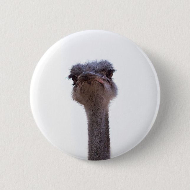 Strauß Button (Vorderseite)