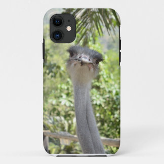 Strauß iPhone 11 Hülle