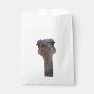 Strauß Geschenktütchen