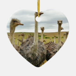Strauß Keramikornament