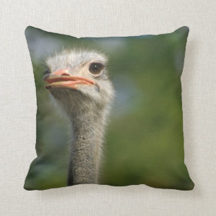 Strauß Kissen
