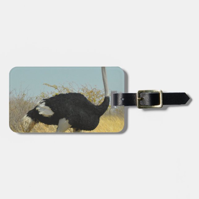 Strauß läuft gepäckanhänger (Vorderseite horizontal)