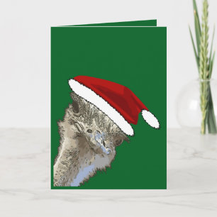 Strauß mit Weihnachtsmannmütze Weihnachten Zoo Tie