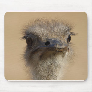 Strauß Mousepad