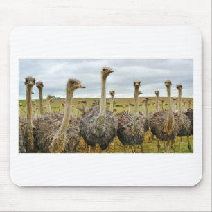 Strauß Mousepad