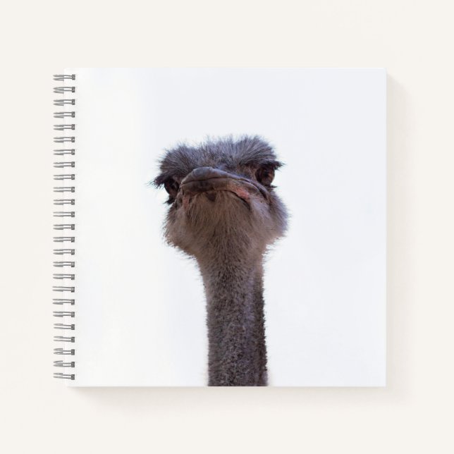 Strauß Notizbuch (Vorderseite)