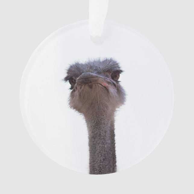 Strauß Ornament (Vorderseite)