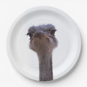 Strauß Pappteller