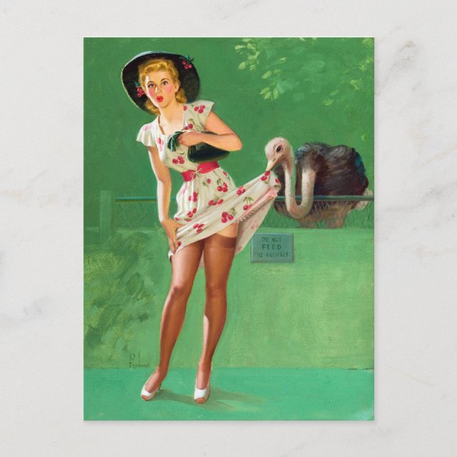 Strauß Pin Up Postkarte (Vorderseite)