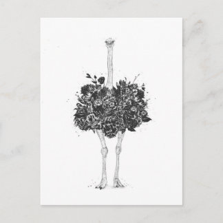 Strauß Postkarte