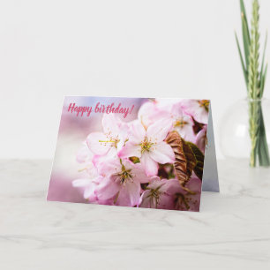 Strauß rosa Sakura gegen den rosa Hintergrund Karte