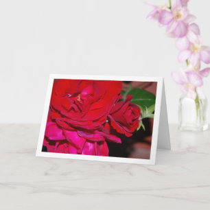 Strauß roter Rosen Karte