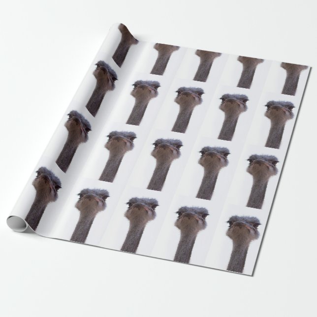Strauß Vogel Geschenkpapier (Ungerollt)