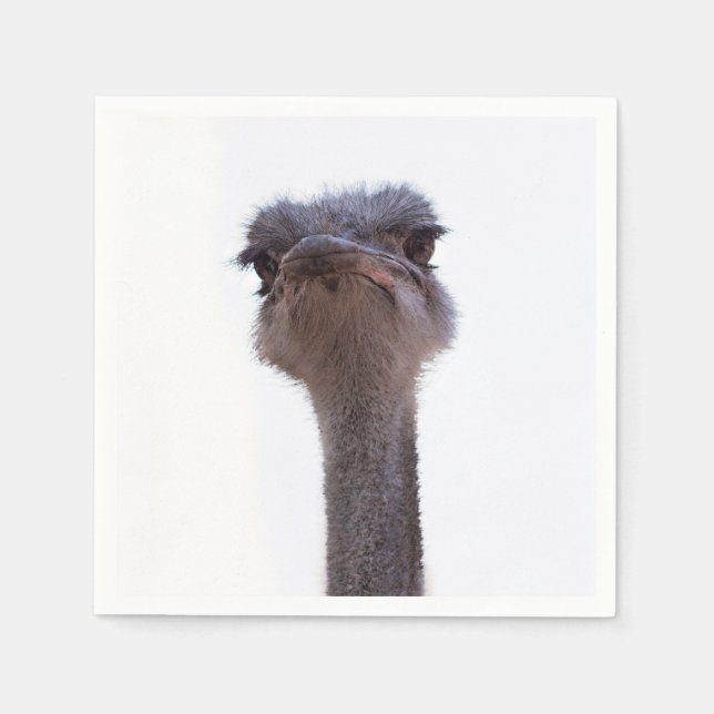 Strauß Vogel Serviette (Vorderseite)