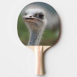 Strauß-Vogel Tischtennis Schläger