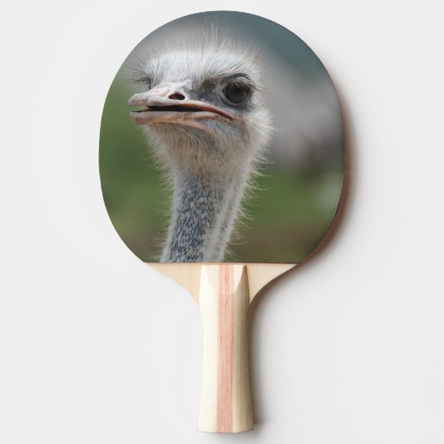 Strauß-Vogel Tischtennis Schläger (Vorderseite)