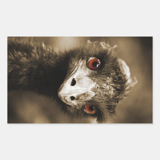 Strauße Aussehen Aufkleber (Vorderseite)