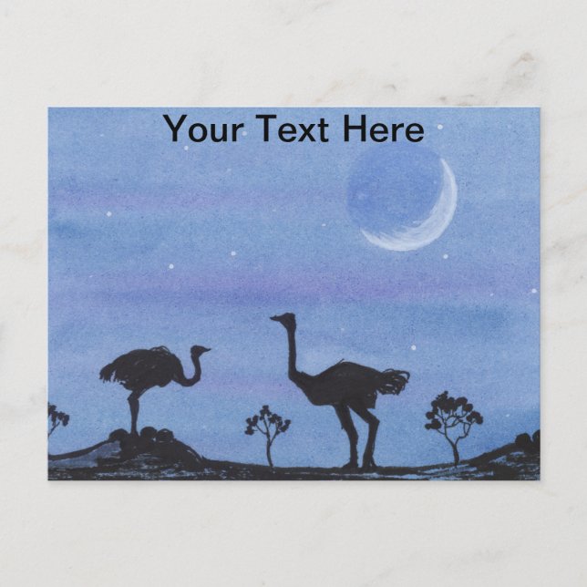 Strauße Postkarte (Vorderseite)