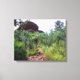 Straussen-Rückweg Leinwanddruck