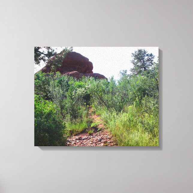 Straussen-Rückweg Leinwanddruck (Vorderseite)