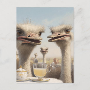 Straußen-Teatime Postkarte