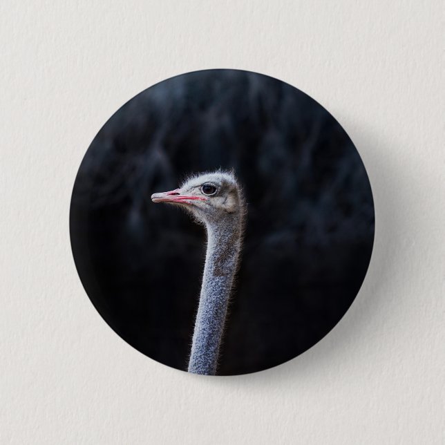 Straußenfotografie Button (Vorderseite)