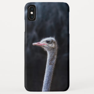 Straußenfotografie Case-Mate iPhone Hülle