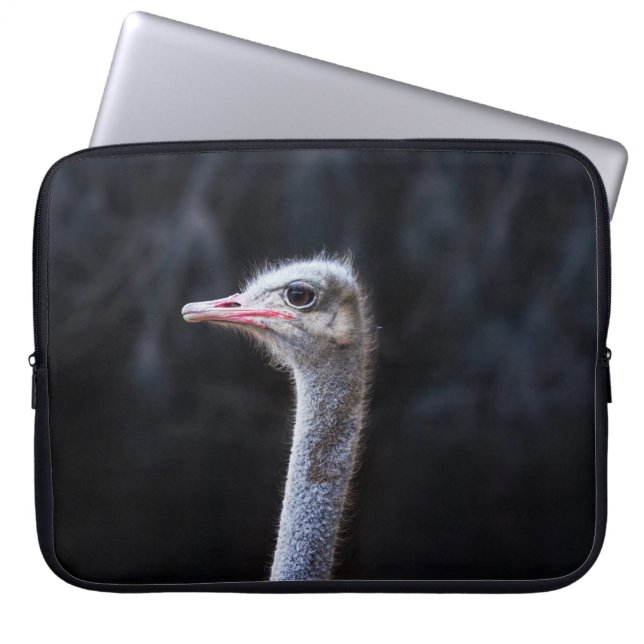 Straußenfotografie Laptopschutzhülle (Vorderseite)