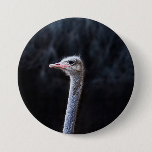 Straußenportrait Button
