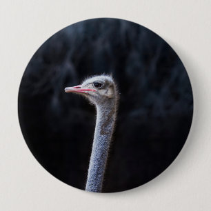 Straußenportrait Button