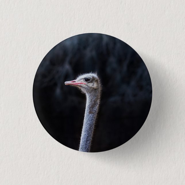 Straußenportrait Button (Vorderseite)