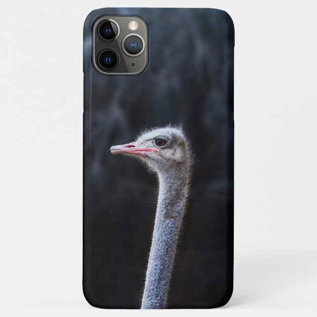 Straußenportrait Case-Mate iPhone Hülle (Rückseite)