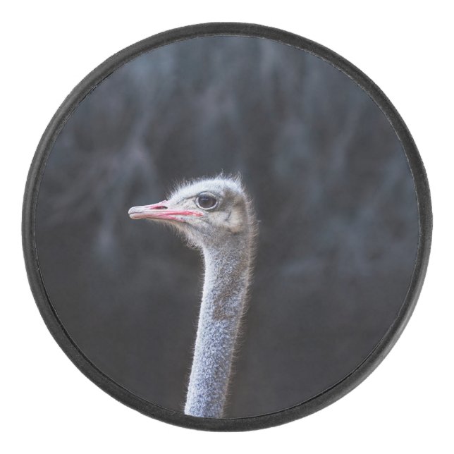 Straußenportrait Eishockey Puck (Vorderseite)