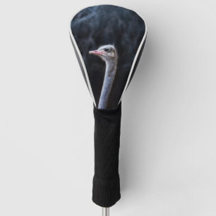 Straußenportrait Golf Headcover