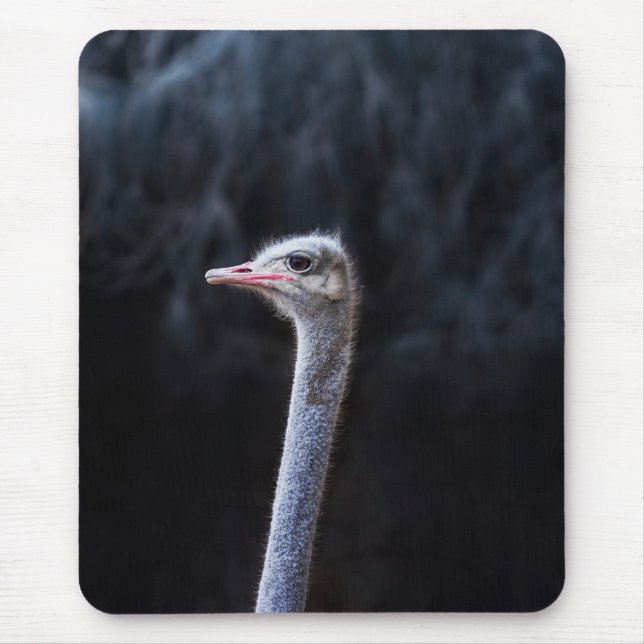 Straußenportrait Mousepad (Vorne)
