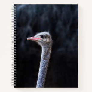 Straußenportrait Notizbuch