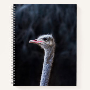 Straußenportrait Notizbuch