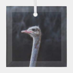 Straußenportrait Ornament Aus Glas