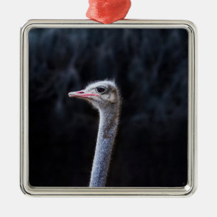 Straußenportrait Ornament Aus Metall